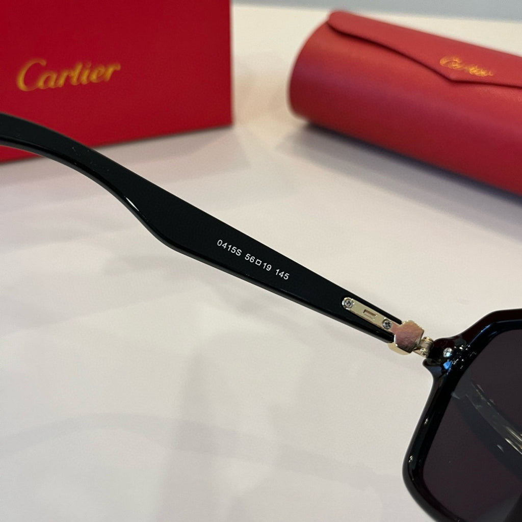 Cartier Aviator Black Lens Sunglasses for Men - 935077 - detail image 10