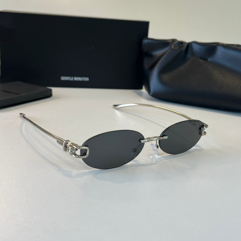 Gentle Monster Fashion Silver Lens Sunglasses for Men & Women