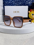 Dior Polarized Fashion Silver Lens Sunglasses for Women - 997972