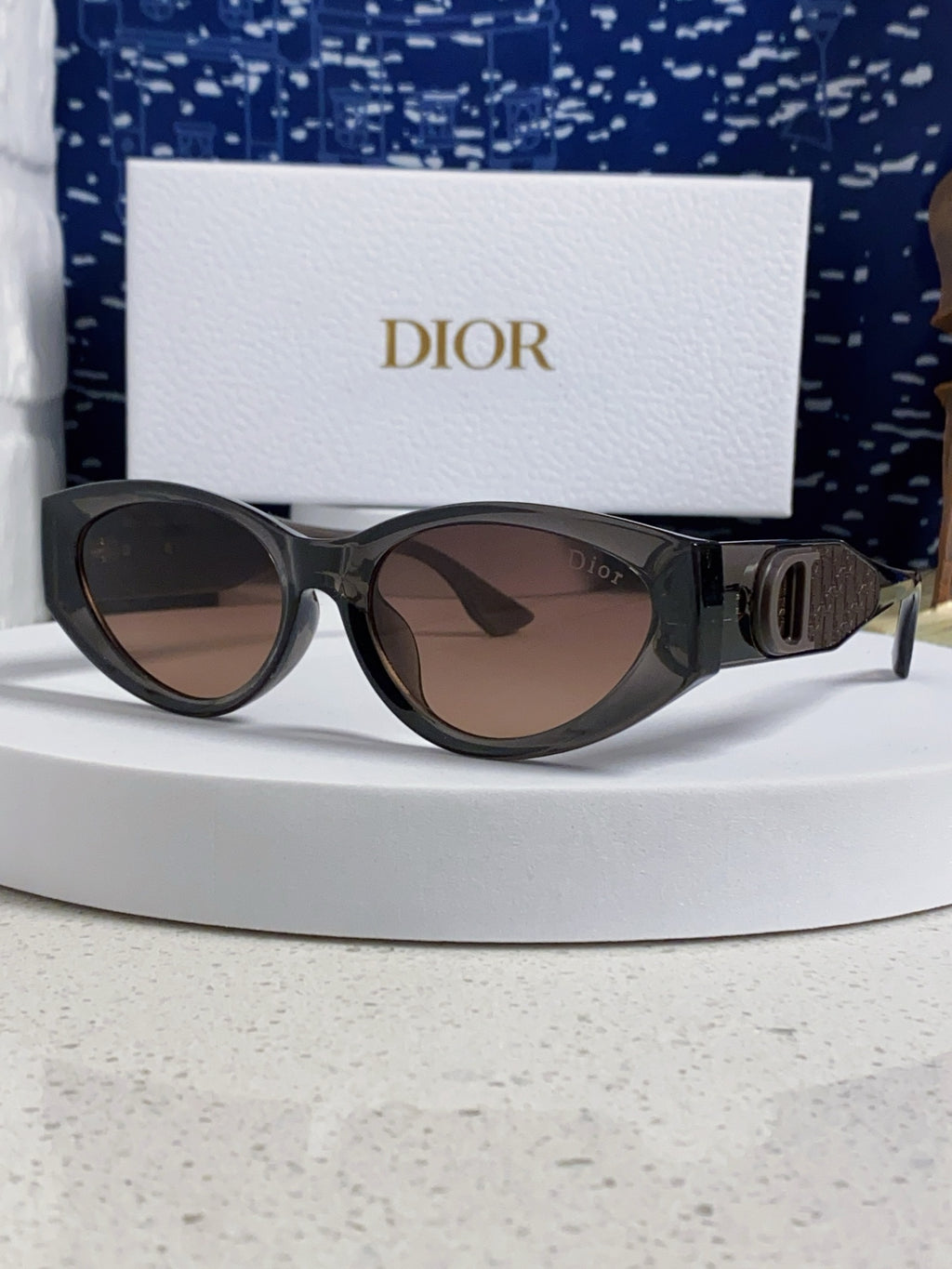Dior Polarized Fashion Silver Lens Sunglasses for Women - 431736